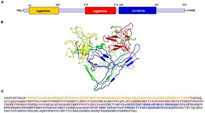 Functional Characterization of an Amaranth Natterin-4-Like-1 Gene in Arabidopsis thaliana